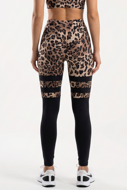 Body Brazil Brown Leopard Legging